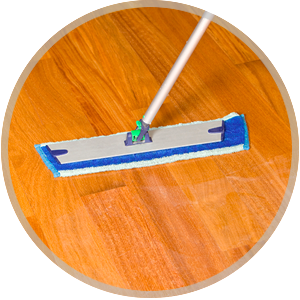 Green Steamer Plus - Hardwood Floor Cleaning