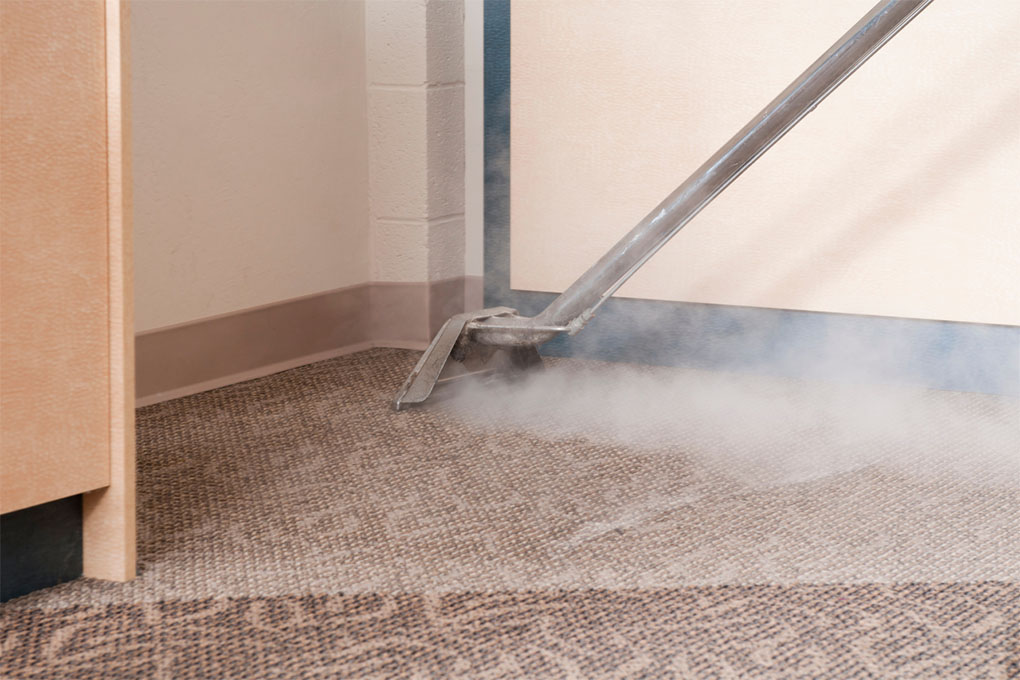 steam carpet cleaning