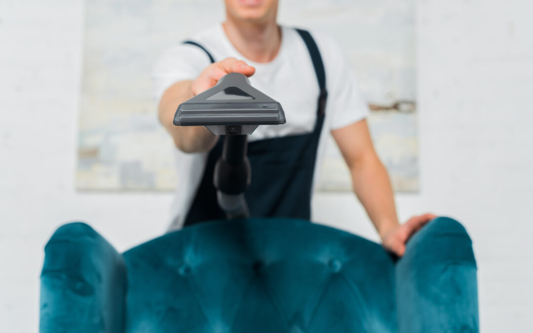 Revitalize Your Roseville Home with Expert Upholstery Cleaning Services