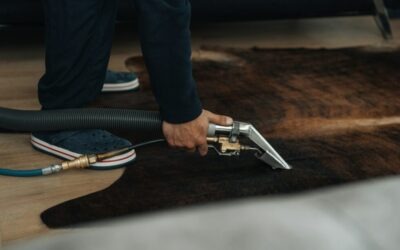Choosing the Eco-Friendly Carpet Cleaning Service for Your Cameron Park Home or Business