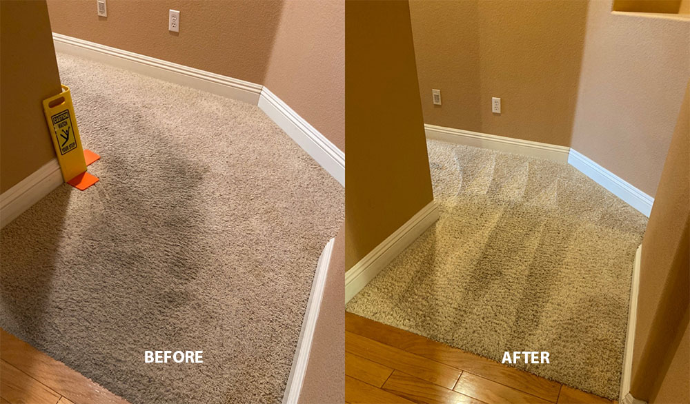 Carpet Cleaning - Before and After