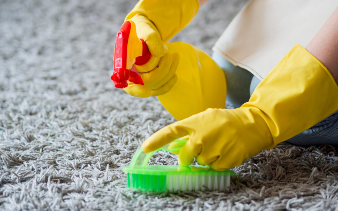 The Importance of Eco-Friendly Carpet Cleaning and How It Benefits Your Home