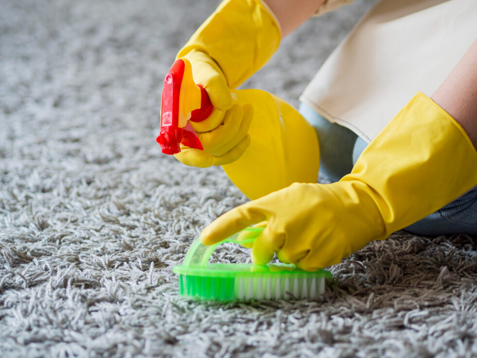 Importance of EcoFriendly Carpet Cleaning