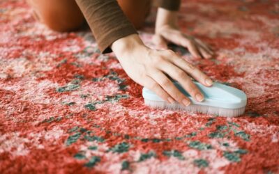 Why Regular Professional Carpet Cleaning Matters for Roseville Residents